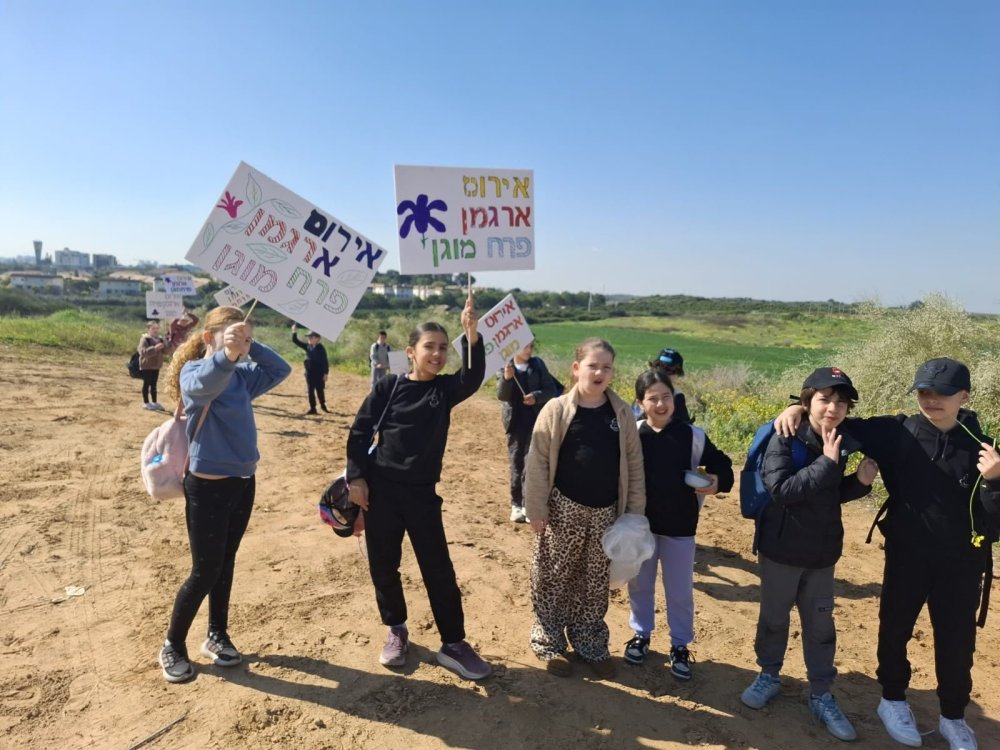 מחזירים את אירוס הארגמן הביתה: עיריית ראשון לציון תשיב את הפקעות שהוצלו לגבעת האירוסים