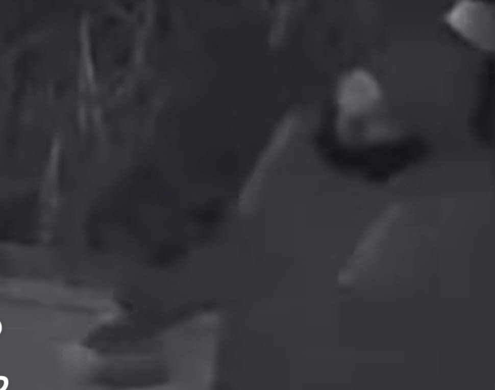 תעלומה בשכונת נרקיסים: אלמוני תועד מניח גלילי צואה בכניסה לבניינים