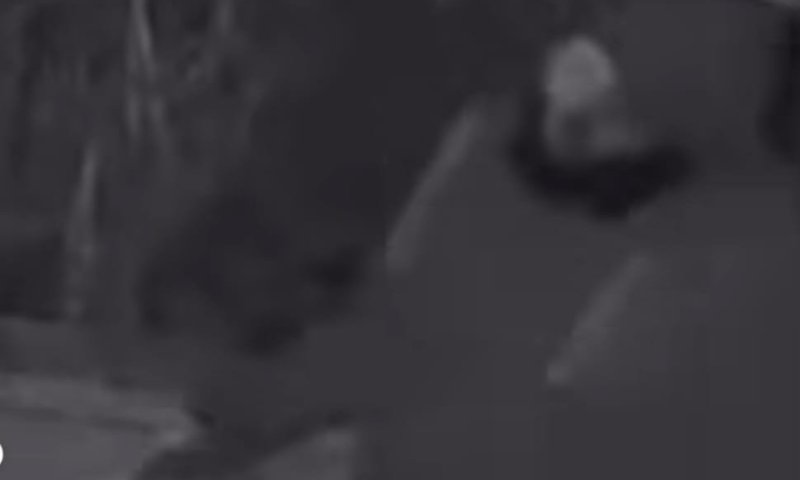 תעלומה בשכונת נרקיסים: אלמוני תועד מניח גלילי צואה בכניסה לבניינים