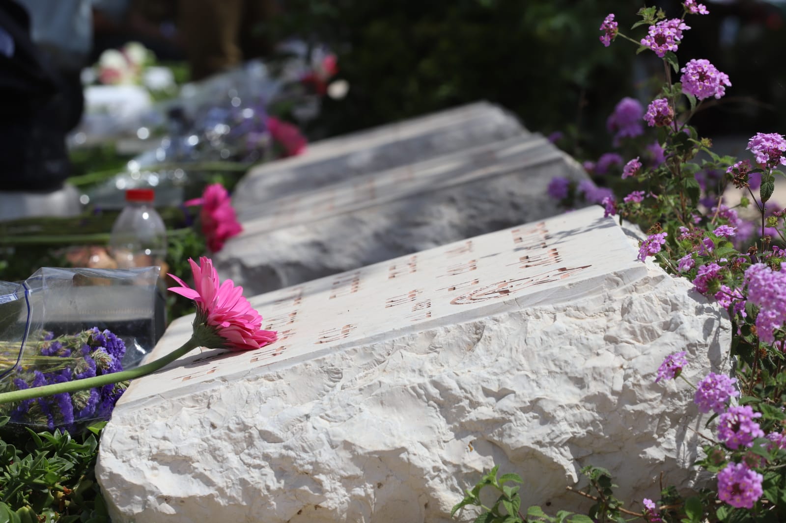 צילום: איתן אלחדז ברק 