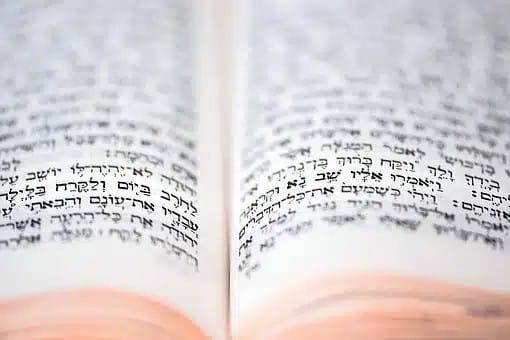 אילוסטרציה: PIXABAY