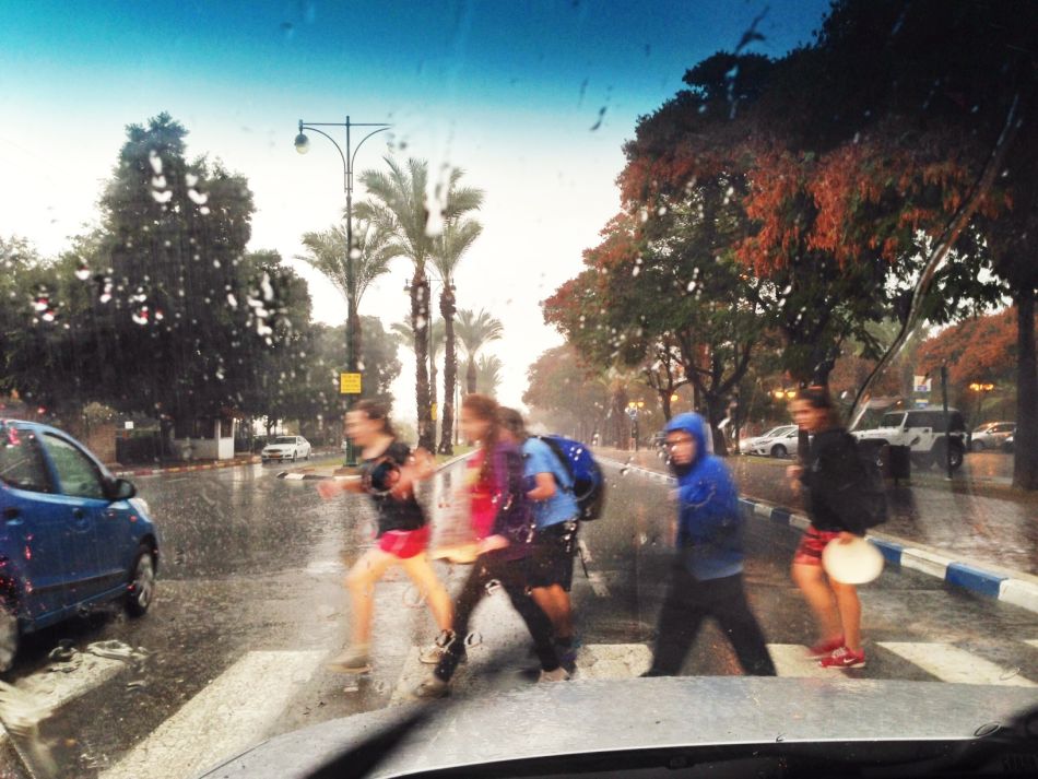 צילום: עמותת אור ירוק