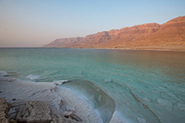 צילום: איה בן עזרי
