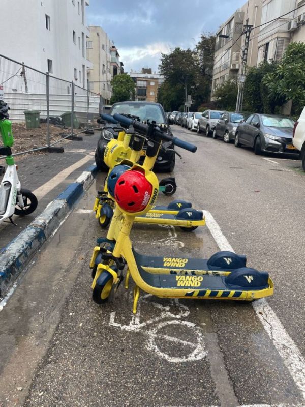 צילום: יח"צ