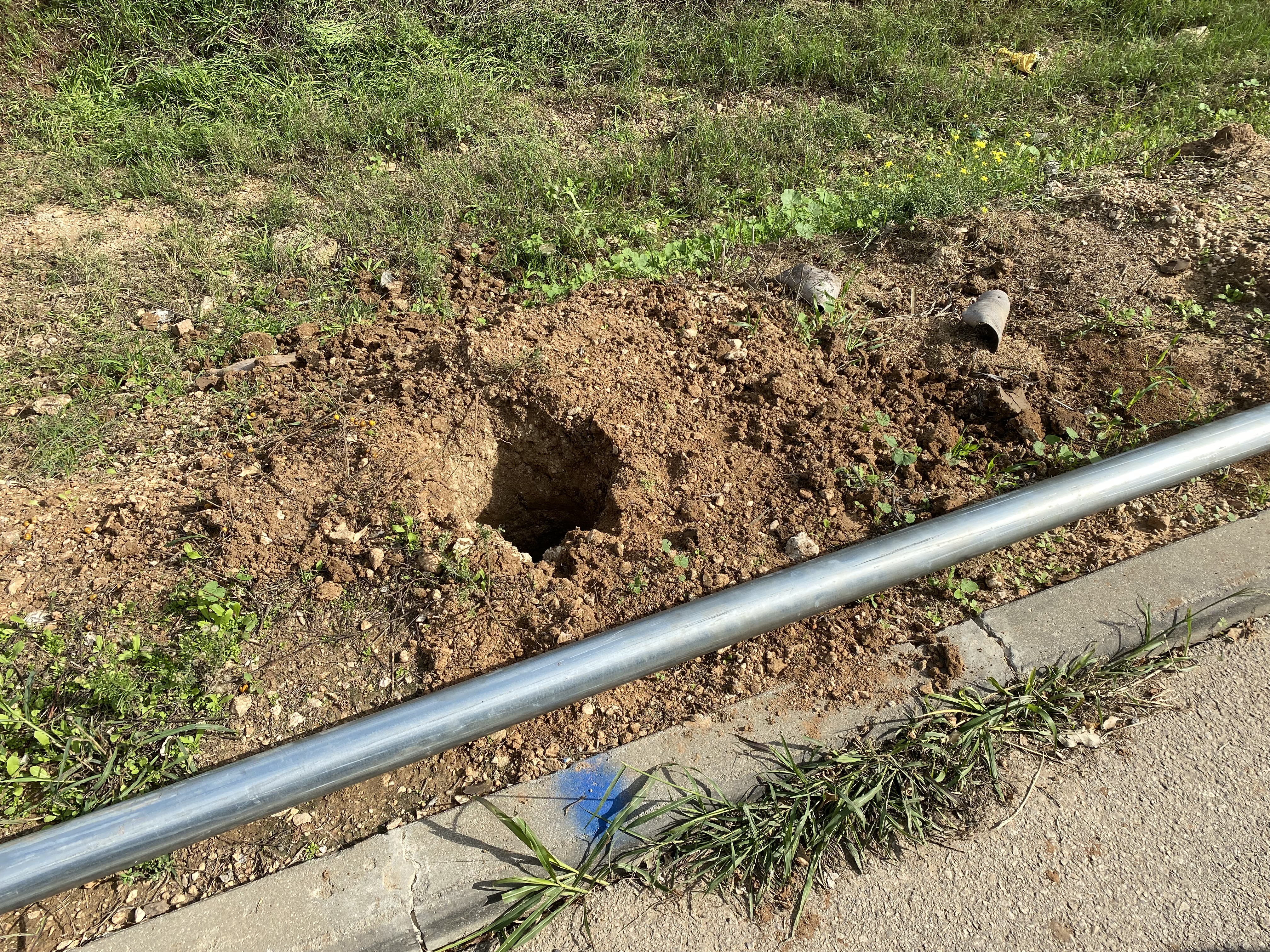 צילום: מערכת גל גפן