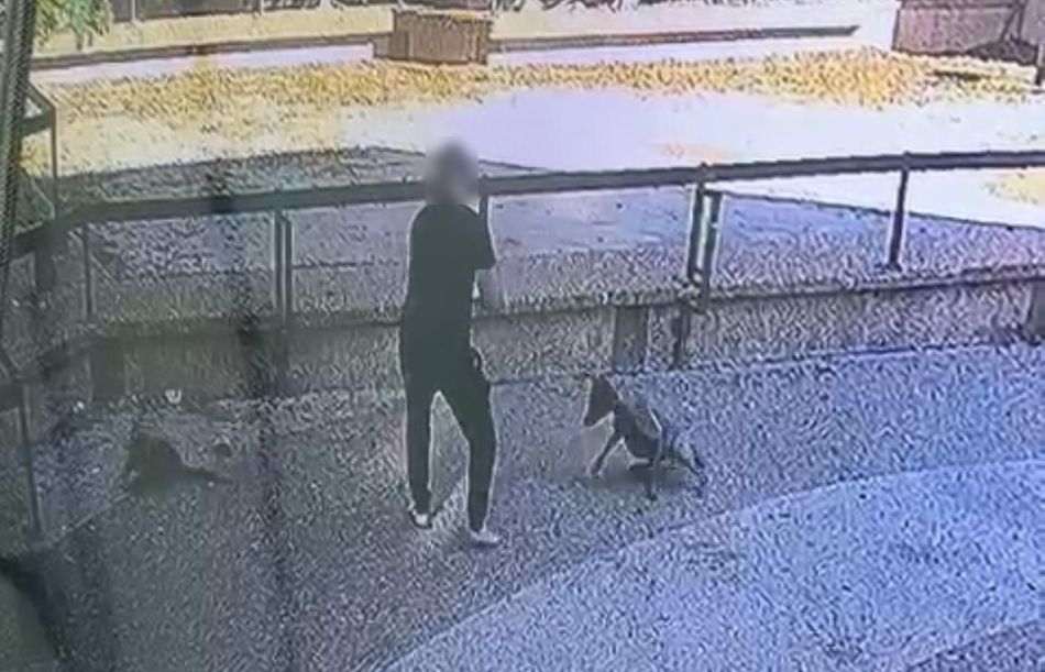 צילום פרטי