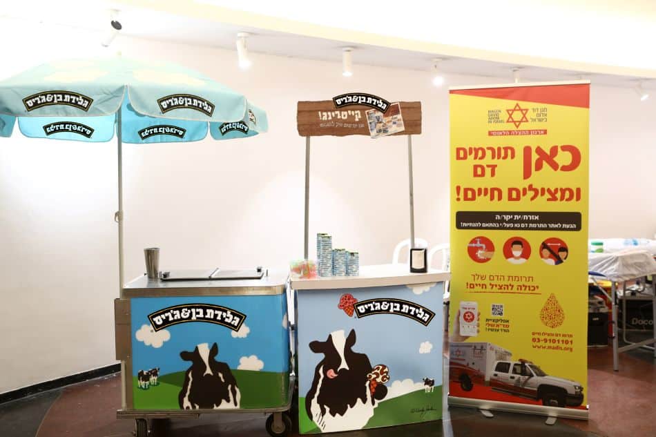 צילום: אסף לב