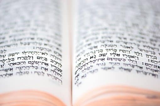 אילוסטרציה: PIXABAY