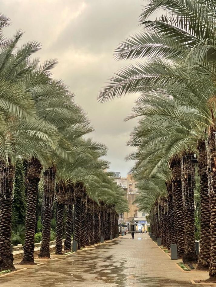 צילום: דוברות ראשון לציון