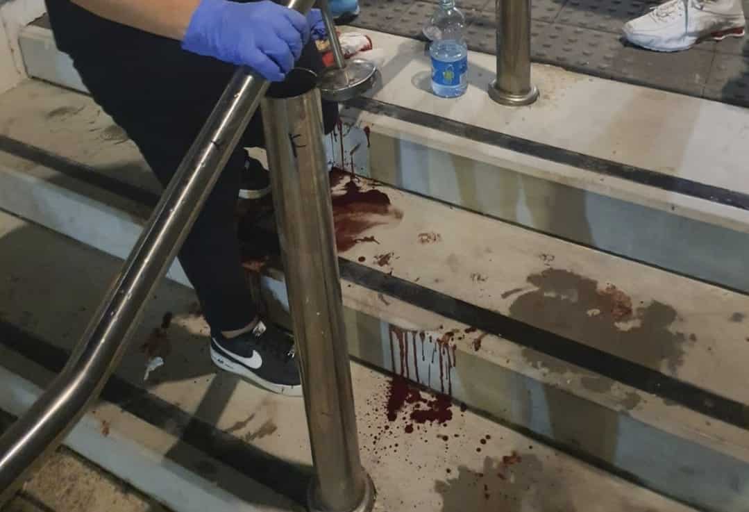 צילום: דוד בניסטי