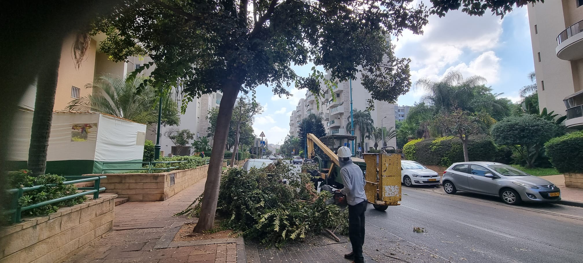 צילום: גל גפן