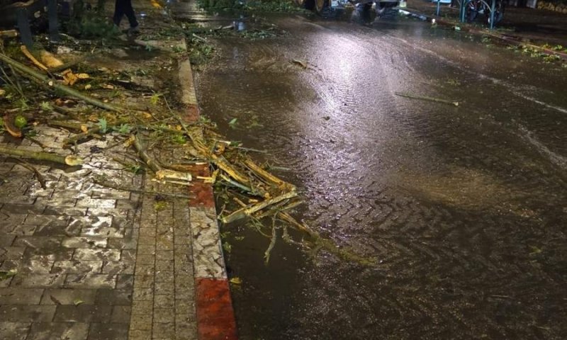 הסערה החורפית ברמת גן: צוותי העירייה פעלו לאורך הלילה להסרת מפגעים