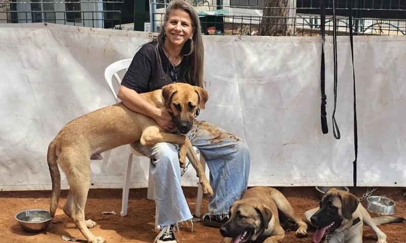 המילואימניקים בשביל בעלי החיים: יום אימוץ בשבת