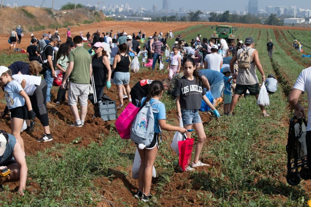 עיריית ראשון לציון מזמינה את התושבים לקטיף תפוחי אדמה והפנינג משפחות בטבע