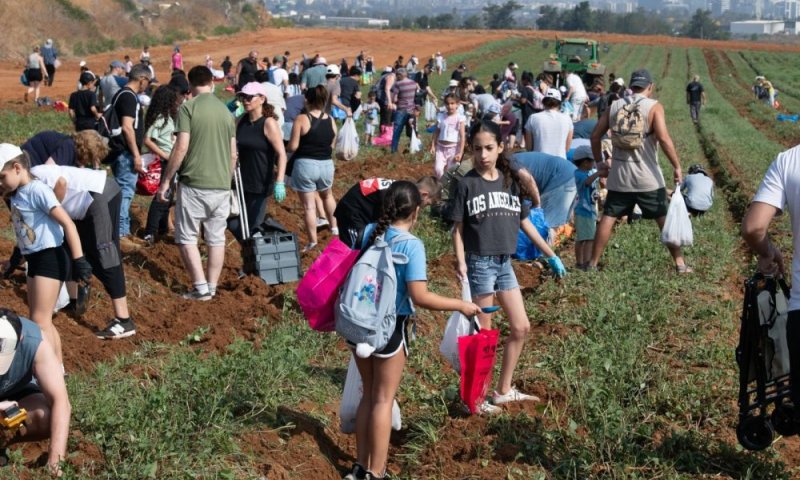 עיריית ראשון לציון מזמינה את התושבים לקטיף תפוחי אדמה והפנינג משפחות בטבע