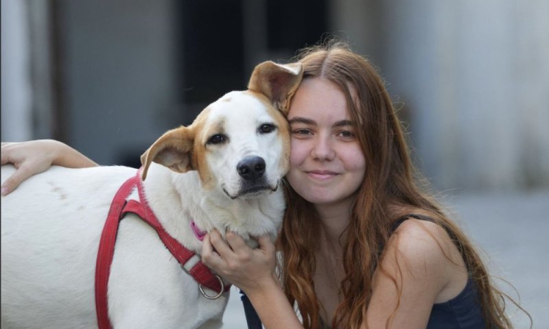 מחממים לבבות בחורף: יום אימוץ כלבים במרכז האקדמי למשפט ולעסקים ברמת גן