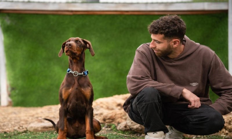 המילואימניקים בשביל בעלי החיים: בואו לאמץ חבר לחיים