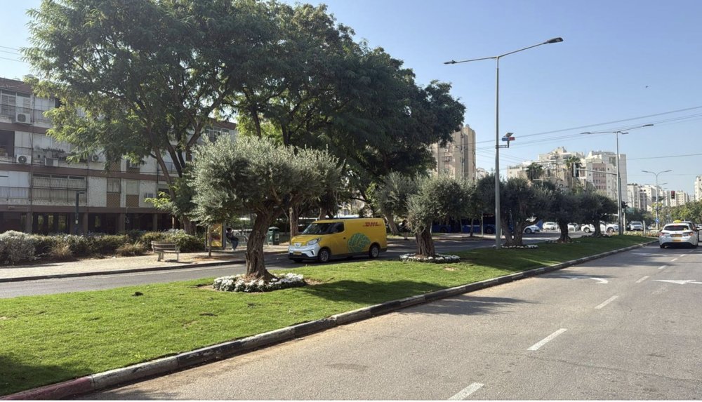עיריית רמת גן מרחיבה את הריאות הירוקות: פרויקט שתילות נרחב בכל רחבי העיר