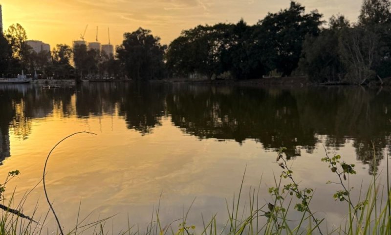 סיור וירטואלי חדש לילדים ולהורים: ״מגלים את רמת גן&rdquo; מגיע למסך הביתי