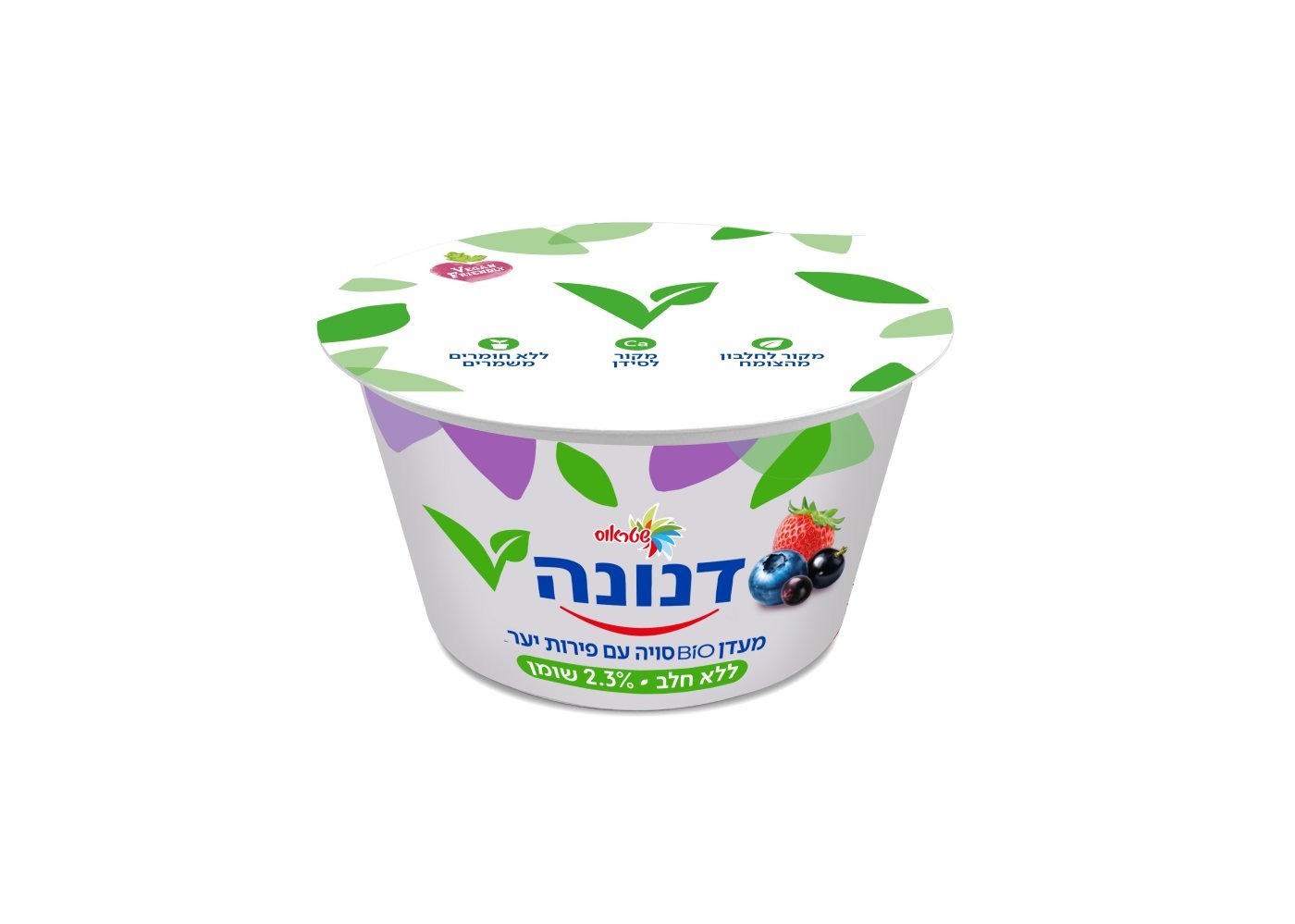סטודיו שטראוס