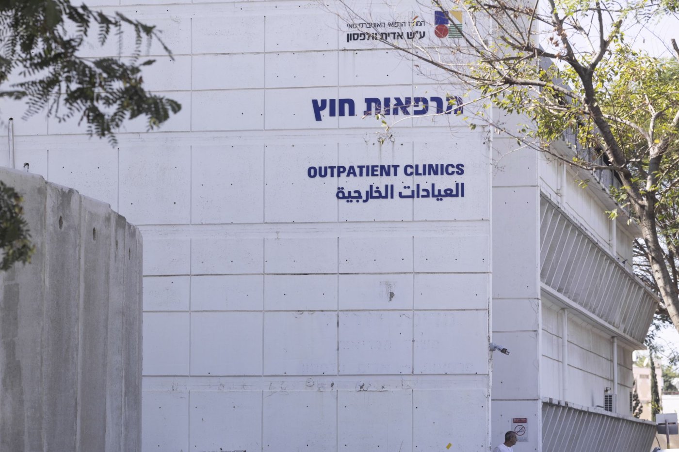 דוברות וולפסון