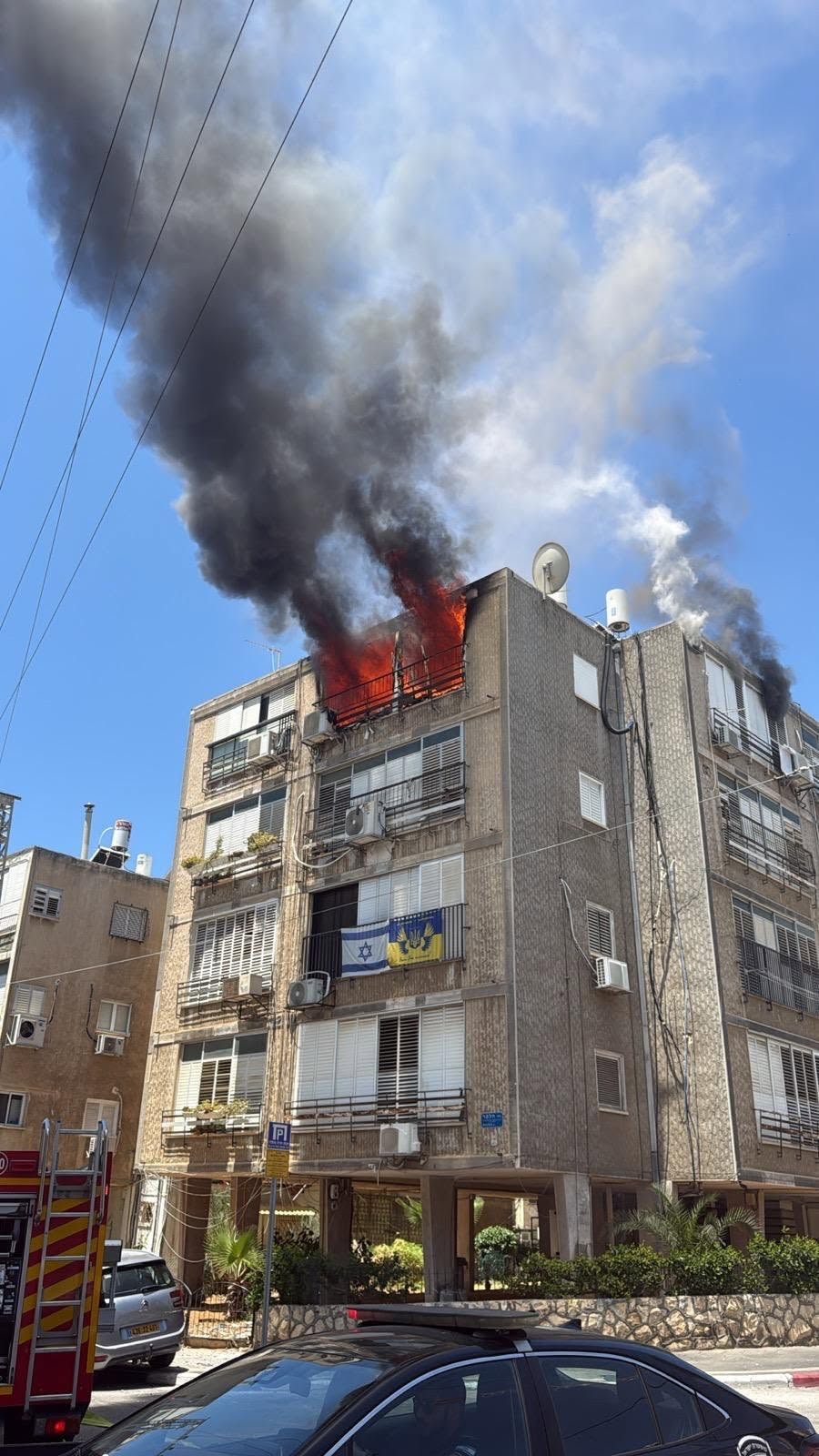 פקחית מבת ים הצילה חיים בשריפה ונפגעה בעצמה משאיפת עשן