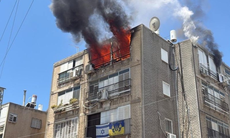 פקחית מבת ים הצילה חיים בשריפה ונפגעה בעצמה משאיפת עשן