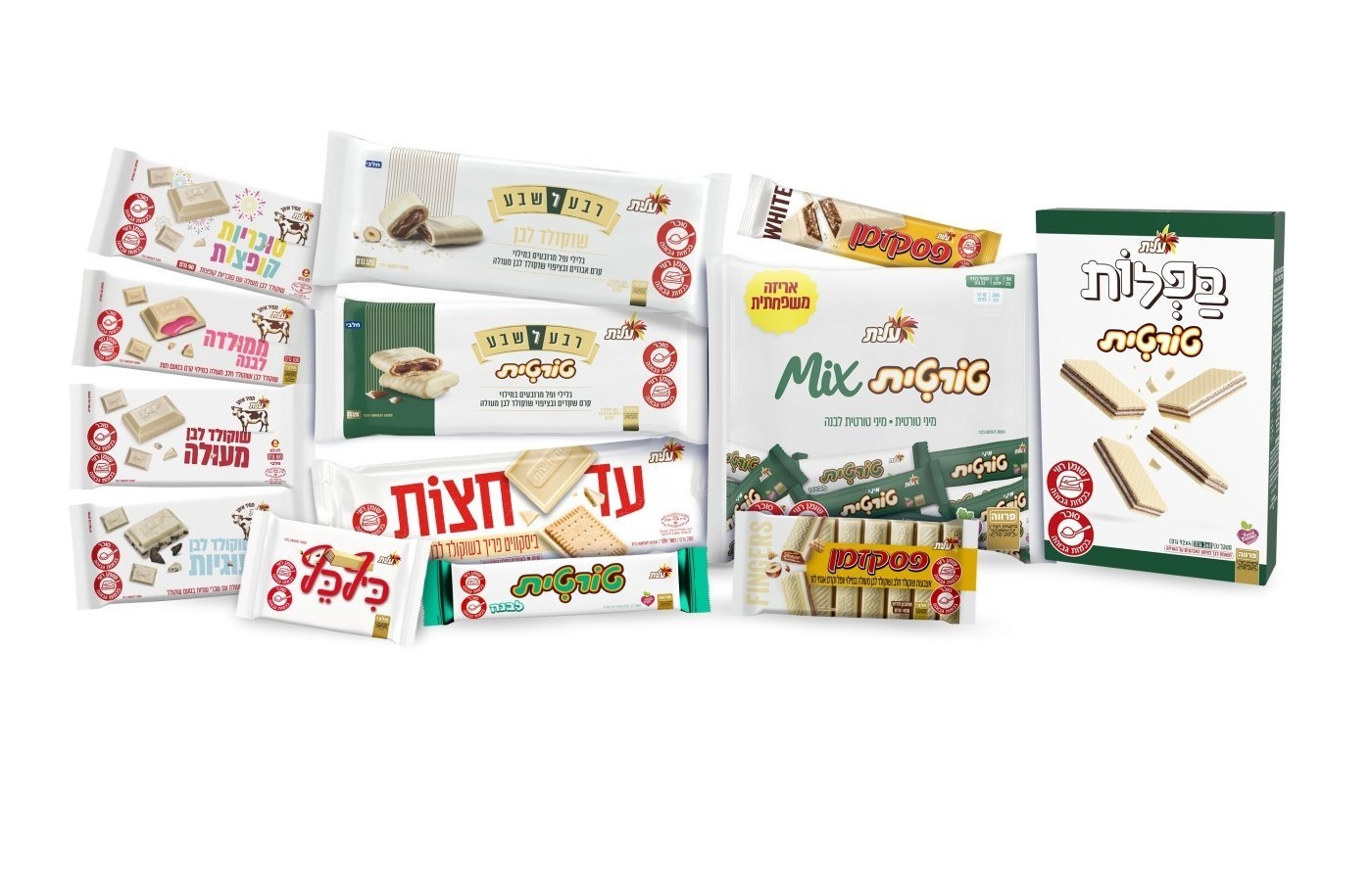 סטודיו שטראוס