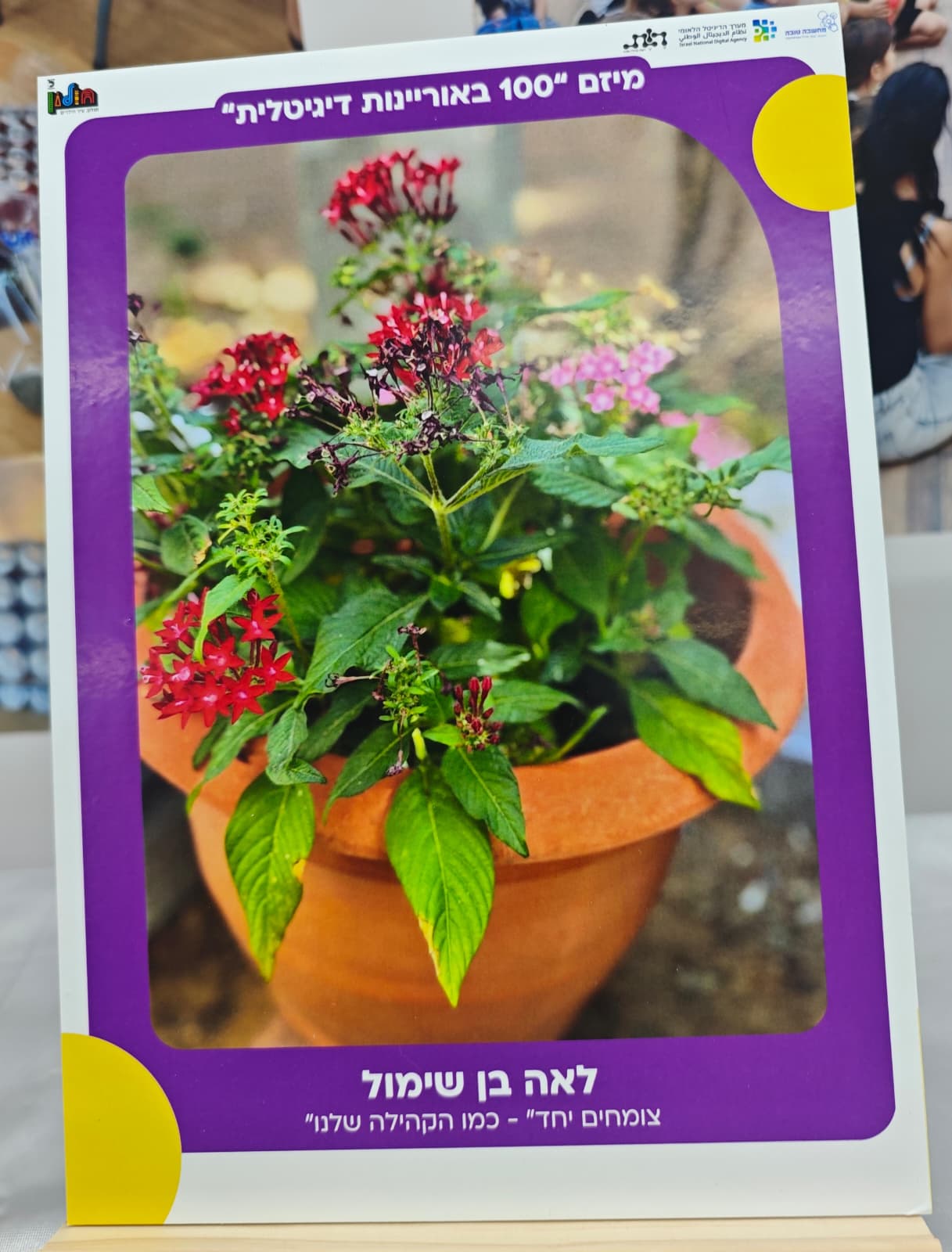 עיריית חולון