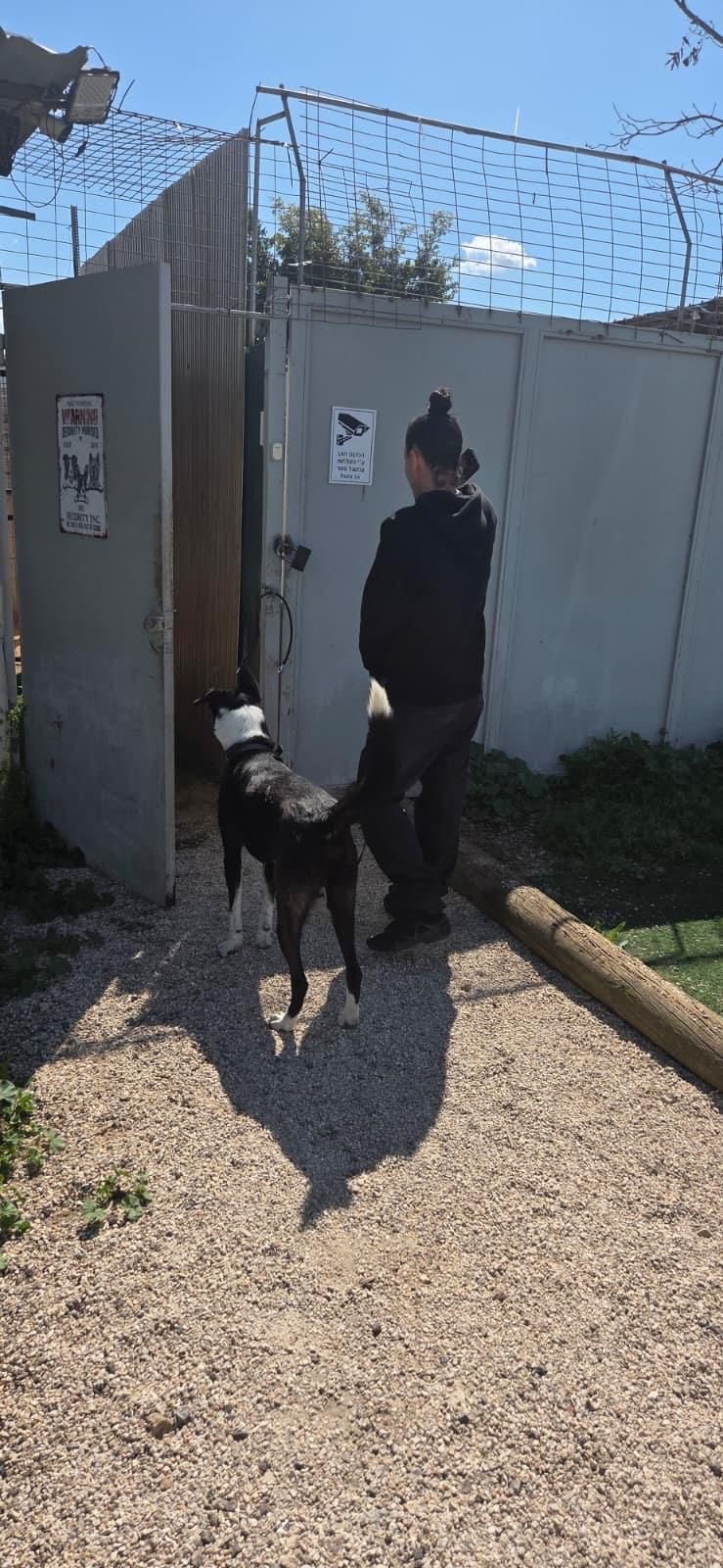 עיריית ראשון לציון