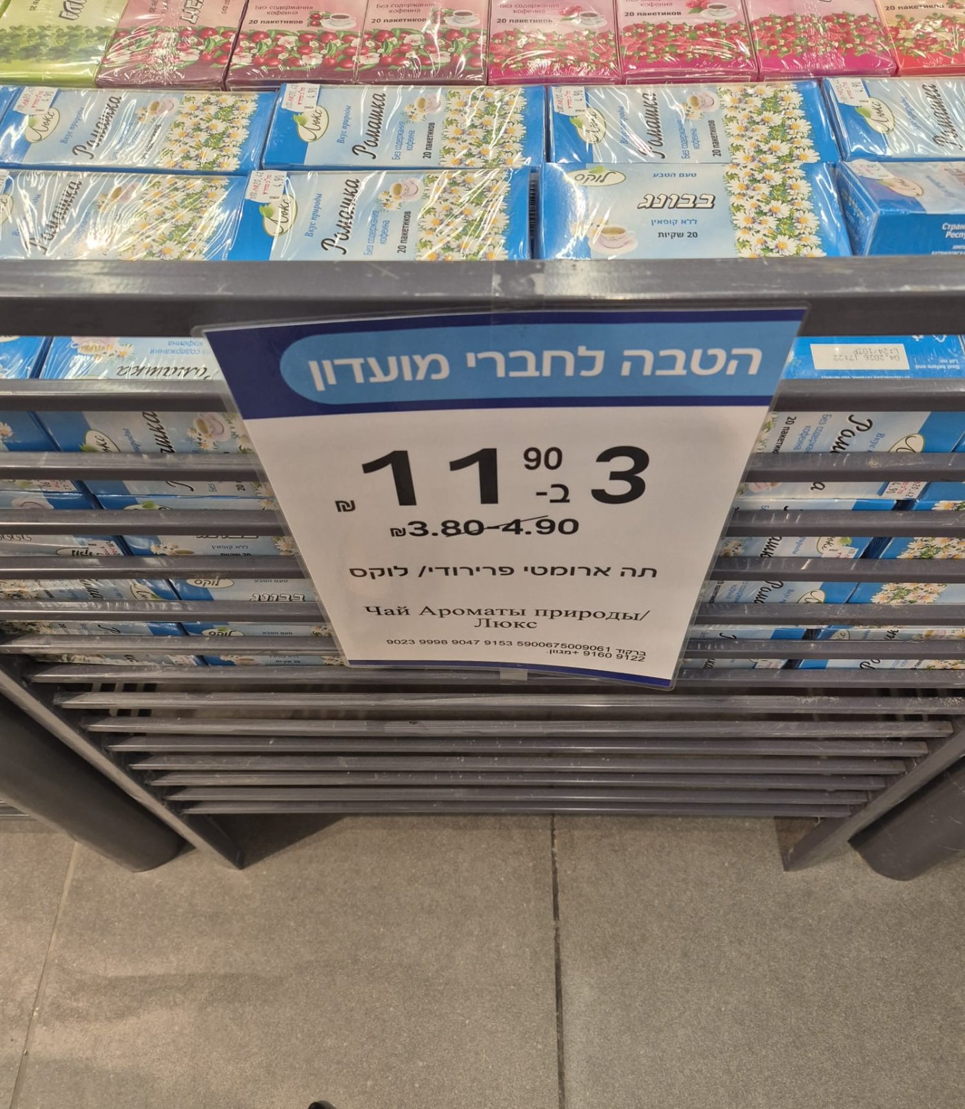 גל גפן