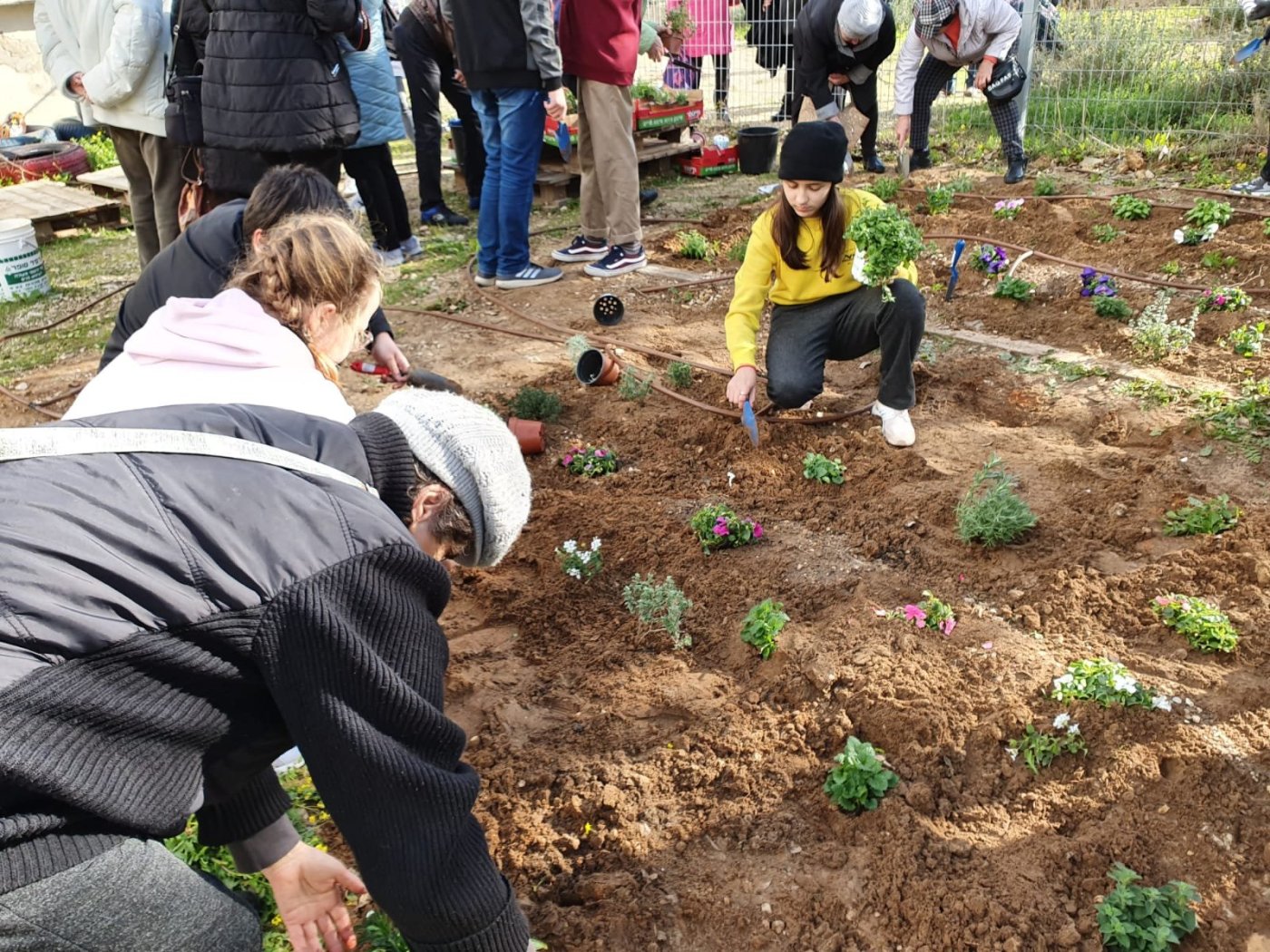 עיריית בת ים