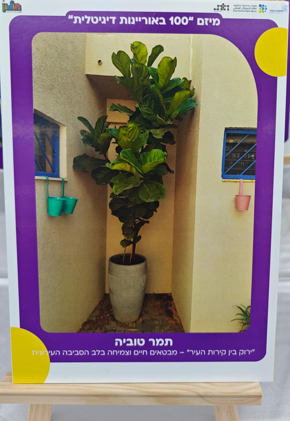 עיריית חולון