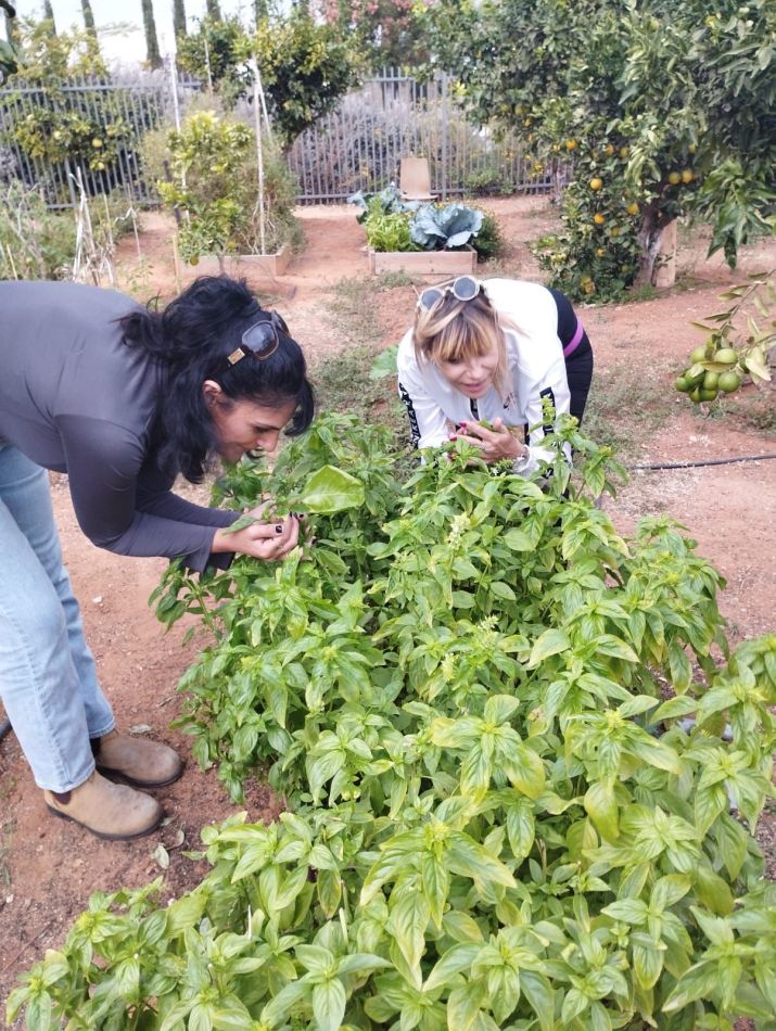 קורס חשוב וחינמי לתושבי ראשון לציון