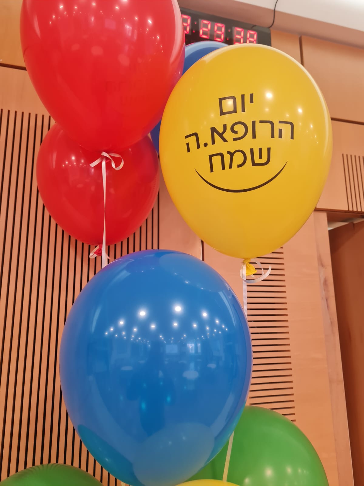 דוברות וולפסון