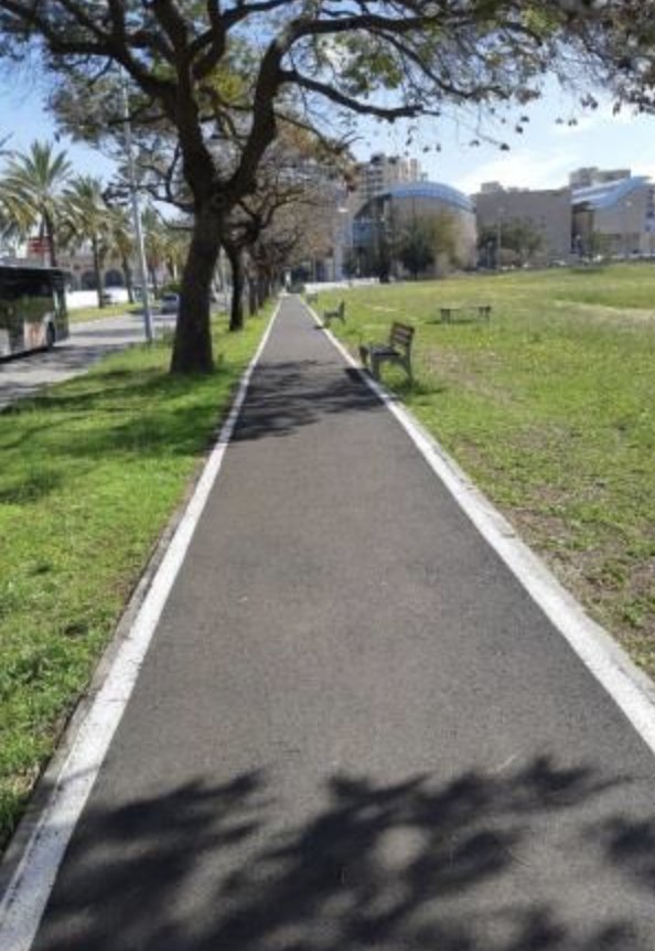 ״צרחתי את כל מה שיכולתי לצרוח אבל הוא ברח״