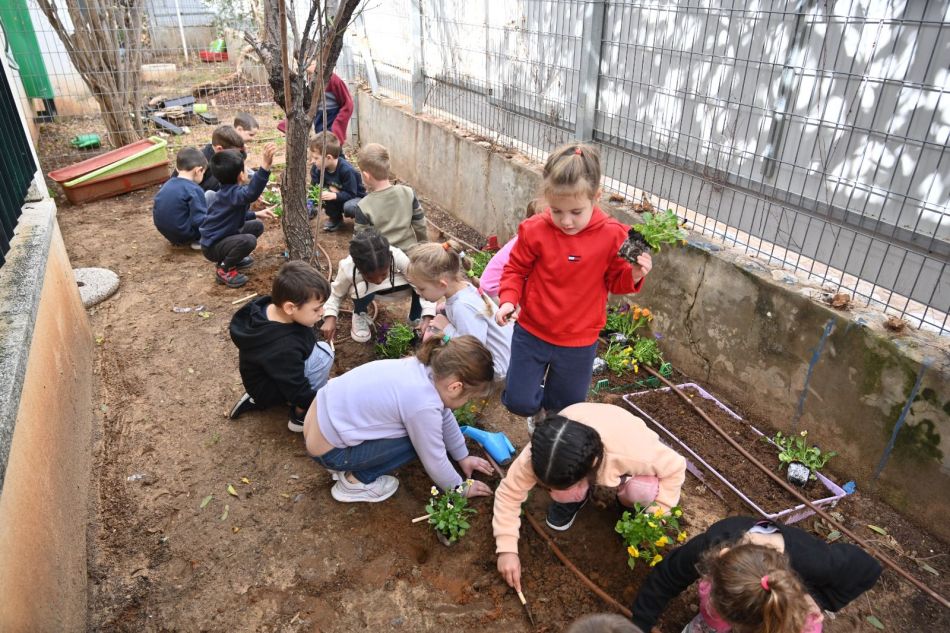 לרגל ט"ו בשבט: חלוקת עצי פרי לתושבי ראשון לציון
