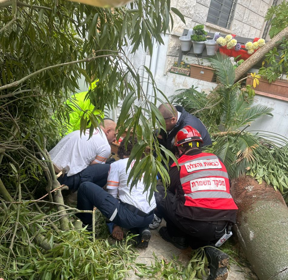 פצוע מקריסת עץ בחולון