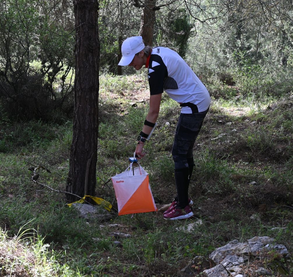 עלילות נווטי ראשון לציון ביער המכושף