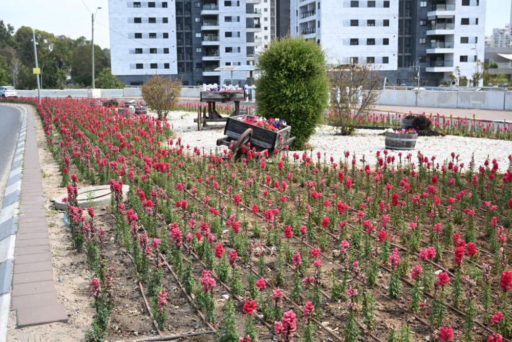היערכות ניקיון מוגברת בראשון לציון לקראת הפסח