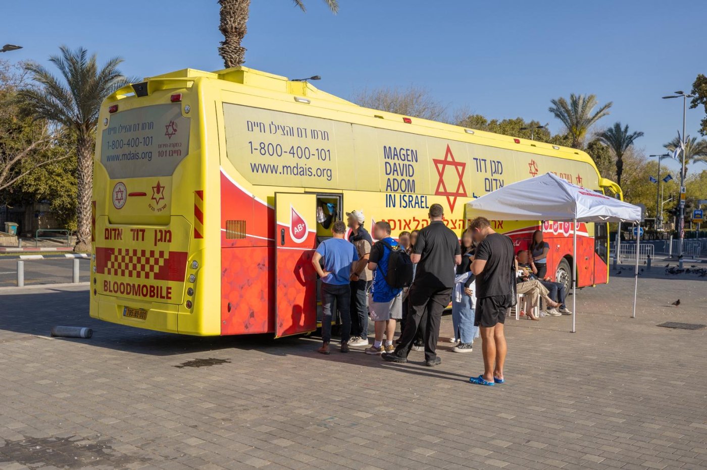 דוברות מדא