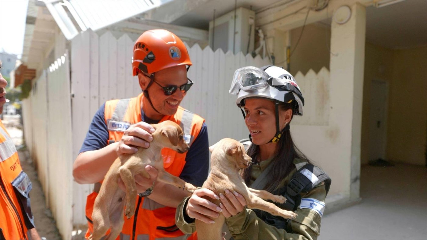 אותרו 2 גורי כלבים בחיים, יומיים לאחר פגיעת הטיל בבת ים