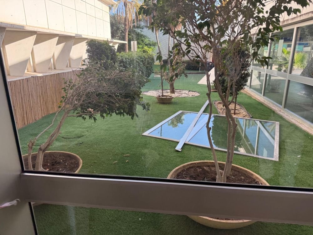 דוברות וולפסון