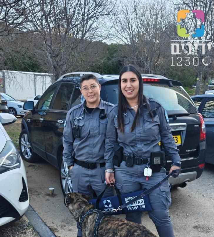 כלב נשכח ברכב בבת ים ונזקק לטיפול רפואי