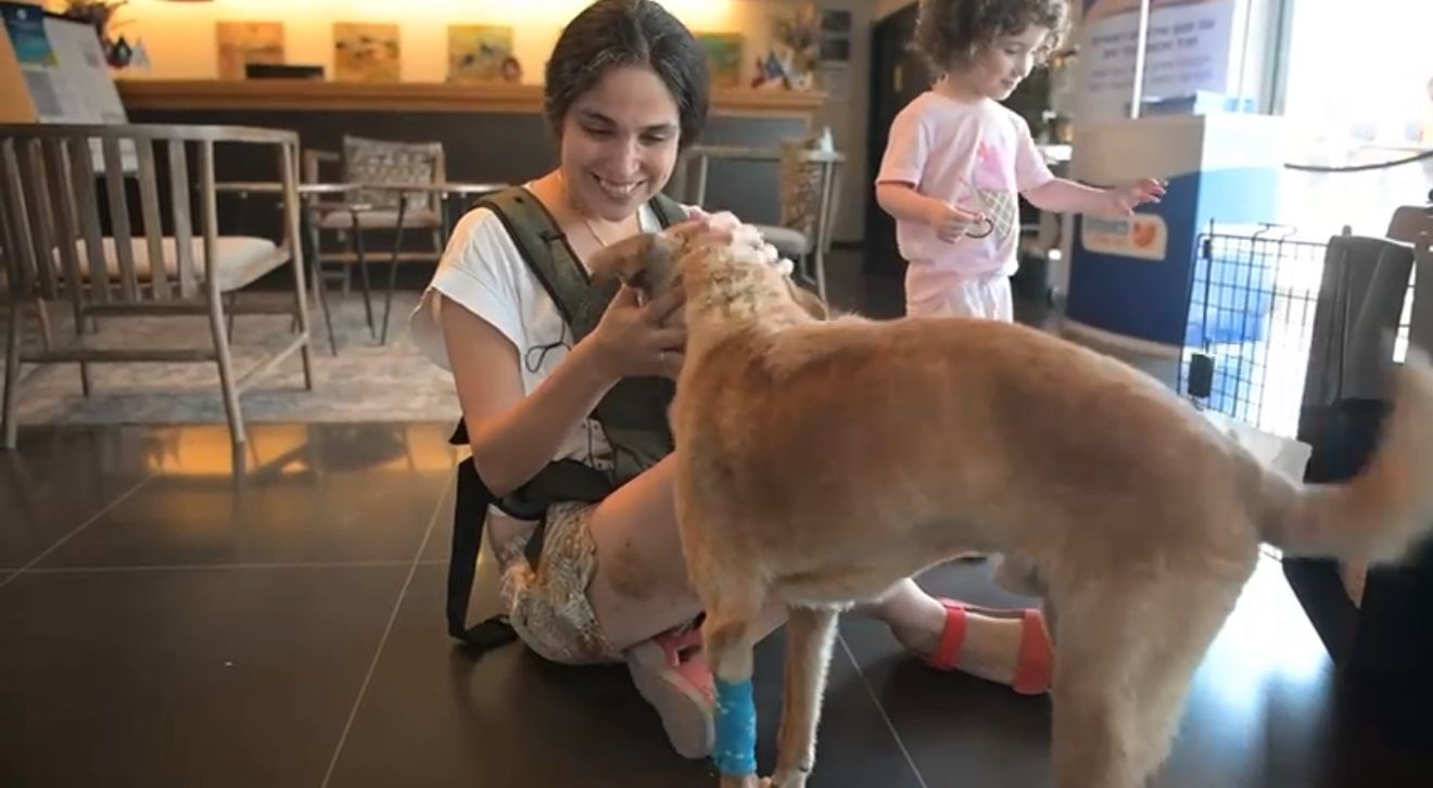 הכלב צביקה מראשון לציון התאחד עם משפחתו