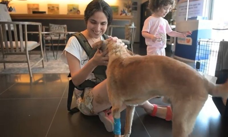 הכלב צביקה מראשון לציון התאחד עם משפחתו