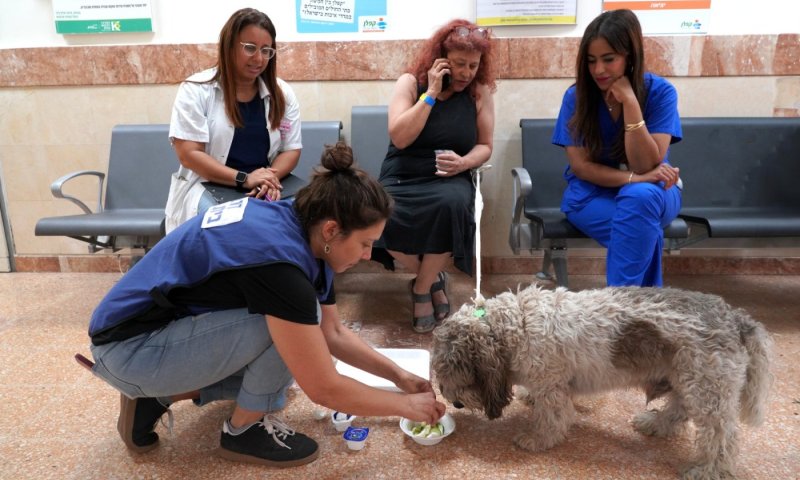 פצועים קלים פונו לקפלן בעקבות מטח הטילים שנורה לאזור השפלה