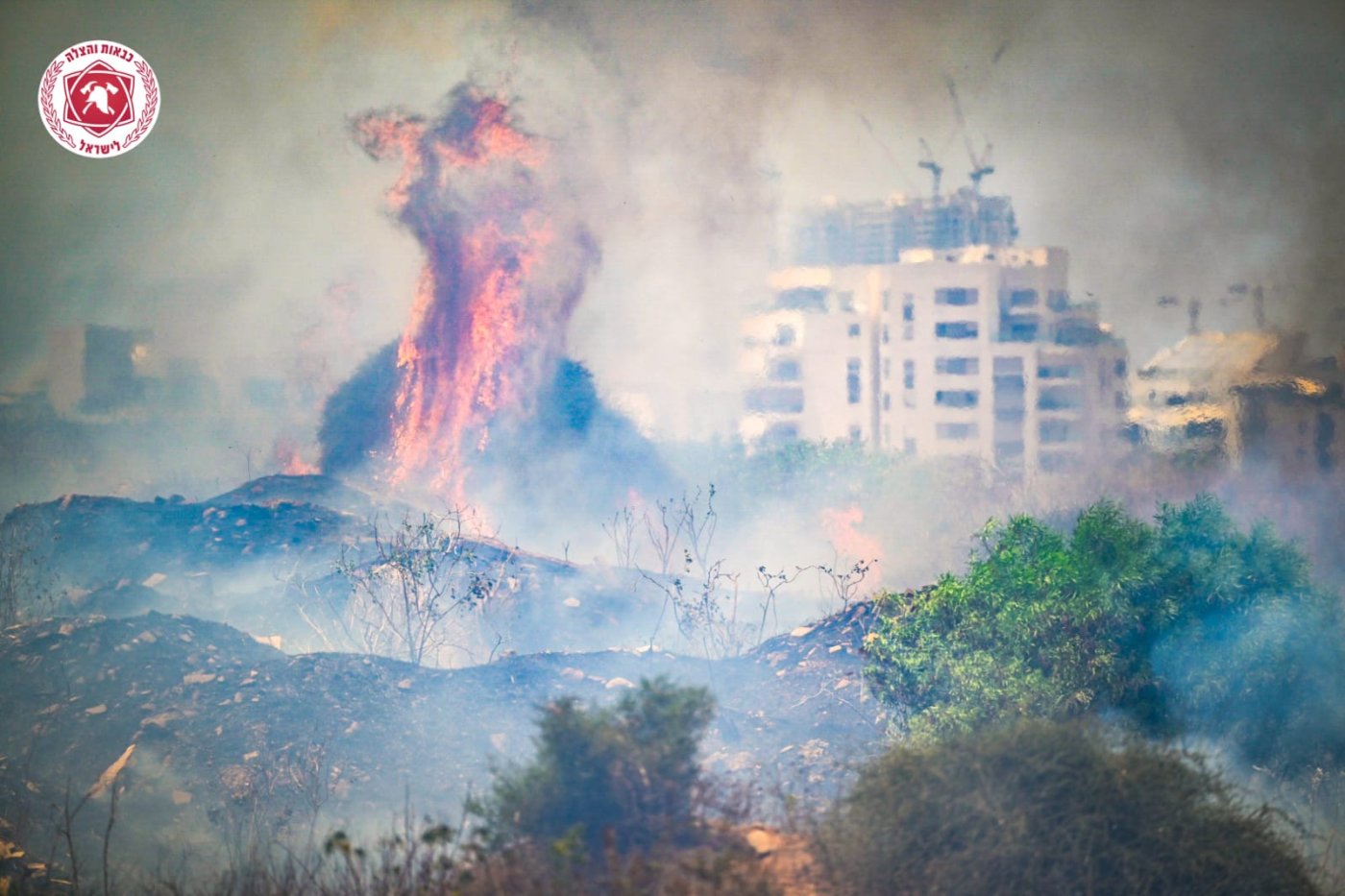 לוחמי האש פועלים בשריפה במזרח חולון