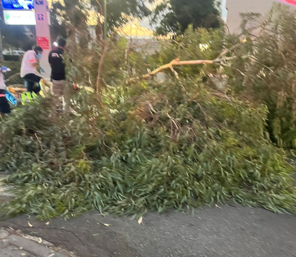 דוברות כבאות והצלה