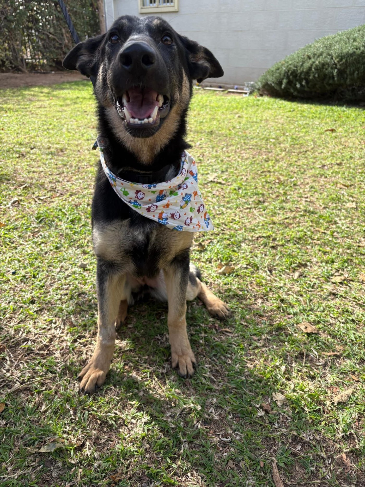 עיריית ראשון לציון